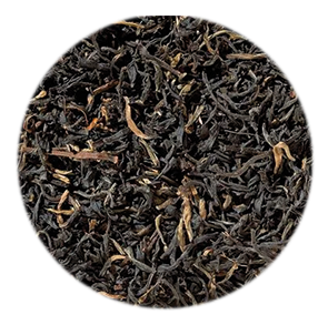 Assam-Mokalbari Assam